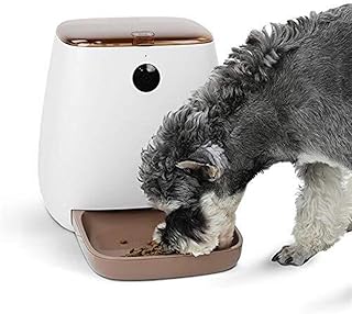 Distributeur automatique de nourriture pour animaux zd-dz pour chats et chiens, application compatible