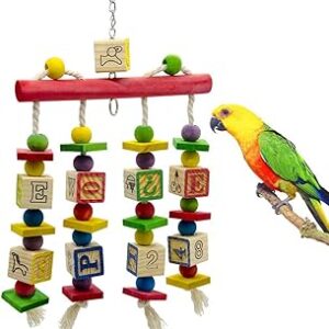 Bevy bird knots block jouets à mâcher jouets éducatifs pour perroquets avec cloches suspendues pour grands oiseaux aras perruches grises d'afrique calopsittes conure cacatoès moyen. Shopping en ligne au Sénégal ? Pensez Diaytar !