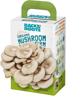 Mini kit de culture de champignons biologiques retour aux racines, récolte de pleurotes en 10 jours, meilleur cadeau de jardinage, cadeau de vacances, cadeau unique. Le discount haut de gamme, c'est possible avec Diaytar