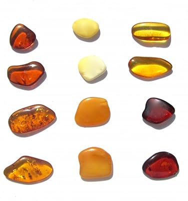 Très petit ensemble de 12 pierres précieuses plates d'ambre brut, petites, ambre