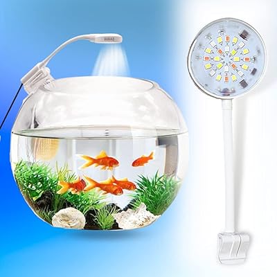 Lumière d'aquarium borac 25 w nano n6 pour petits aquariums et |