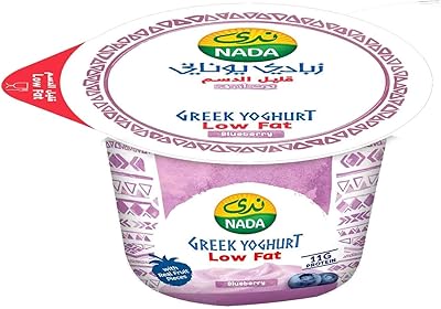Yaourt grec faible en gras nada aux myrtilles, 160 grammes