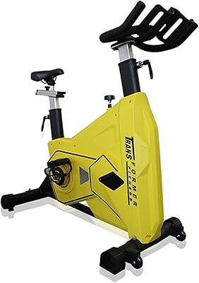 Vélo d'exercice en salle spin bike home gym spin bike, vélo stationnaire d'intérieur