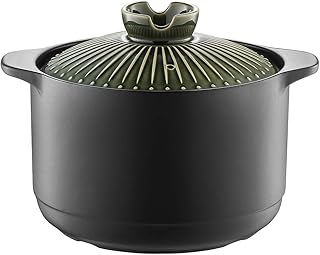 Marmite en céramique à feu direct chi prussia 42 litres vert
