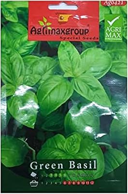 Graines de basilic vert agrimax