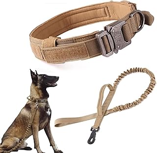 Ensemble collier et laisse tactique pour chien chien avec élastique réglable de dressage