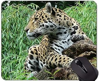 Tapis de souris jaguar léopard avec bord cousu 190615-020 260*210*3 mm