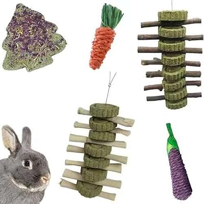 Jouets à mâcher dentaires pour lapins, bâtonnets molaires en bois de pomme biologique