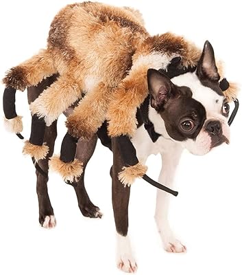 Costume officiel d'halloween pour chien rubie's, x-large (cou à queue 28", poitrine 22")