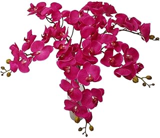 Yatai lot de 6 orchidées artificielles real touch et branches d'orchidées phalaenopsis
