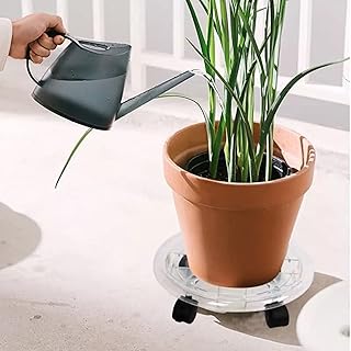 Support pour plantes en pot robuste de couleur transparente de haute qualité