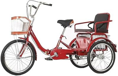 Tricycle unisexe adulte 20 pouces 3 roues de vélo de mer avec panier. Commandez malin, vivez mieux avec Diaytar