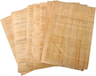 20 papiers papyrus égyptiens vierges pour projets artistiques et scolaires 8 x 12" (20 x 30 cm) + 1 cadeau de référence. Le e-commerce qui respecte votre pouvoir d'achat : Diaytar