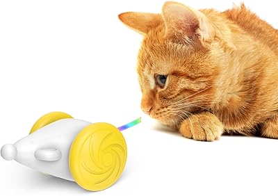 Jouets interactifs pour chats d'intérieur jouet automatique pour chat avec lumières led jouets