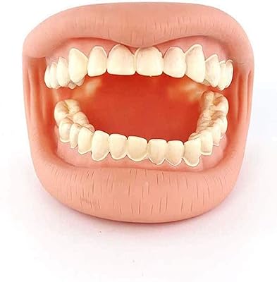 Modèle de dents, modèle d'agrandissement des dents, enseignement aux enfants des soins dentaires