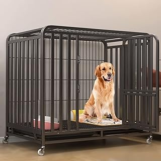 Zerteler cage pour chien durable à double porte en acier inoxydable grande cage avec quatre. Diaytar : Votre shopping, nos meilleurs prix