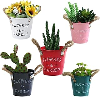 Goodrun lot de 5 pots de fleurs en métal galvanisé avec poignée