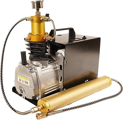 Compresseur d'air pcp, pompe à air électrique haute pression 4500psi 30mpa pour gonfleur