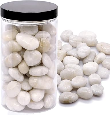Pierres de rivière polies naturelles blanches 1-1.5"/1kg pierres décoratives extérieures pour la décoration d'aquarium et le remplissage de vase pour l'aménagement paysager de jardin et les plantes succulentes (blanc). Diaytar Sénégal : Diversité produits, unité de prix bas