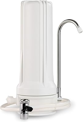 Système de filtration d'eau potable de comptoir i-spring avec filtre à charbon 2,5"