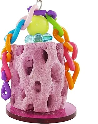 Jouet à broyer les dents d'oiseau en calcium, jouet à mâcher sissy bird