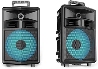 Haut-parleur portable rechargeable flexi® 20 000 watts avec télécommande, 2 microphones sans fil