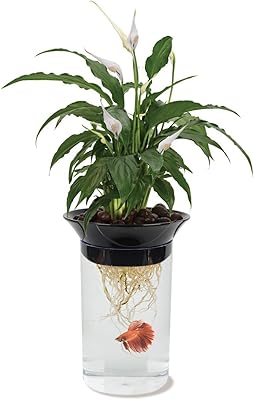 Ensemble de pots de fleurs bean plax natures betta aqua bonix transparent, noir