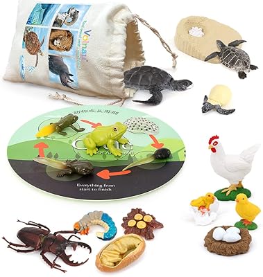 Ensemble de figurines d'animaux volno de 17 pièces pour les tout-petits, motif tortue