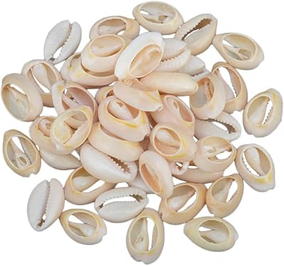Helvety 50pcs perles en spirale, coquillages de plage, coquillages kaori, breloques et perles