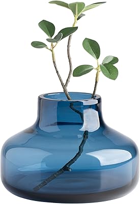 Vase rond en verre de couleur unie tori & tagus pour fleurs