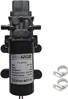 Pompe à eau ferrich 12 v avec pressostat pompe haute pression avec 2