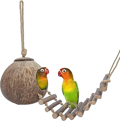 Cabane nid d'oiseau en noix de coco newstyle avec échelle perroquet