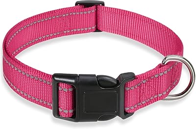 Collier réfléchissant pour chien avec boucle réglable, colliers en nylon sûrs pour chiens