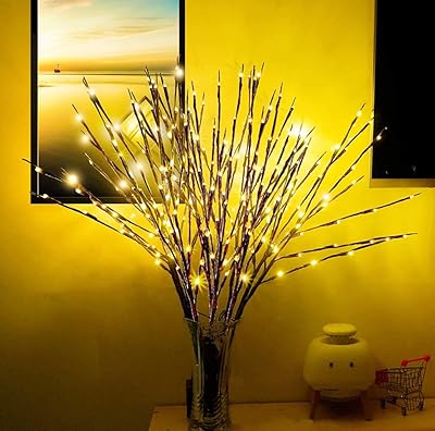 4 pièces branches lumineuses led à piles lumières de remplissage