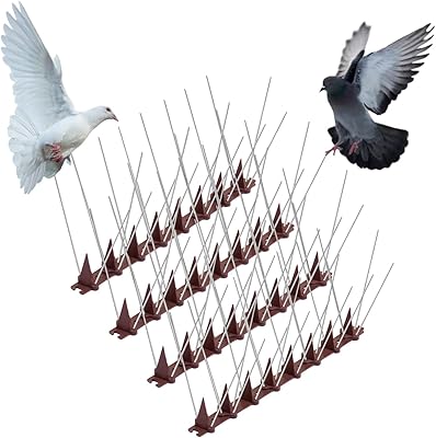 Pointes anti-oiseaux en acier inoxydable pour pigeons kit 98"