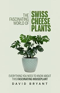 Le monde fascinant des usines de fromage suisse : tout ce que vous