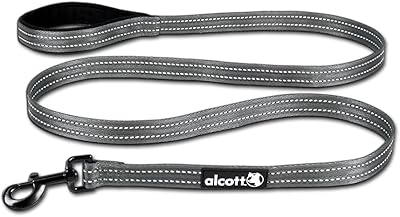 Laisse alcott adventure essentials, grande, grise