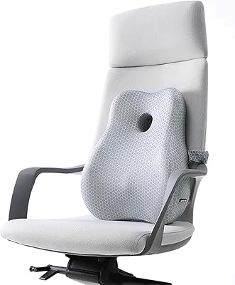 Oreiller de soutien lombaire pour chaise de bureau et voiture oreiller en mousse