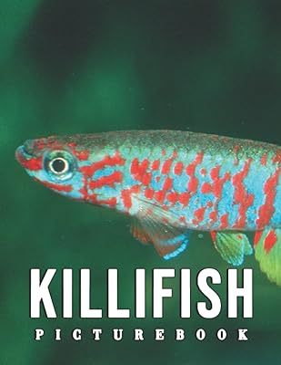 Photo de killifish : collection de photos convaincantes de killifish comme un excellent cadeau pour les adultes, les adolescents et les enfants pour se détendre et soulager le stress. L'expérience e-commerce réinventée par Diaytar au Sénégal