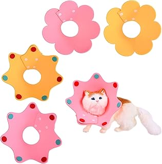 4 pièces colliers coniques de récupération pour chat cône pour animaux