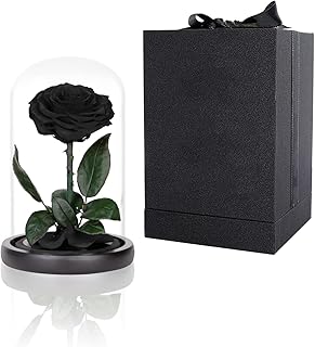 Roses noires conservées dans un dôme en verre, taille m, une vraie rose qui dure de 2 à 3 ans, cadeaux roses noires pour femme. Diaytar Sénégal : Parce que chaque FCFA compte