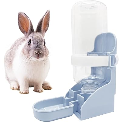 Distributeur d'eau suspendu pour lapin, bouteille d'eau à débit par gravité automatique
