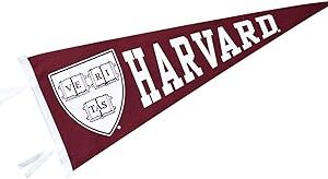 BANNIÈRE DE L'UNIVERSITÉ DES BULLDOGS DE YALE, PLEINE TAILLE, 12" X 30"