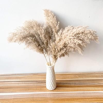 20 pièces d'herbe de pampa pour la décoration de mariage, bouquet de fleurs