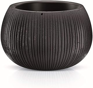 Prosperplast dkb240-b411 pot de fleur en béton, taille 238 mm x 238 mm