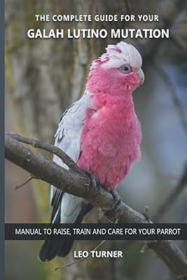 Le guide complet de votre mutation galah lutino : manuel pour élever, dresser