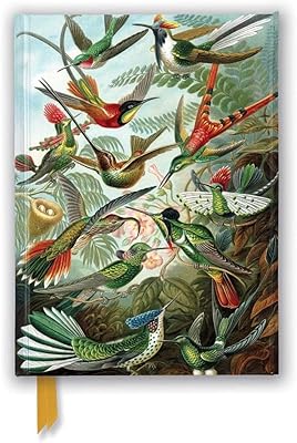 Ernst haeckel : colibris (journal déjoué)
