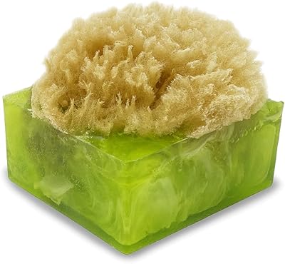 Savon éponge en barre de citron et sel de mer primal elements