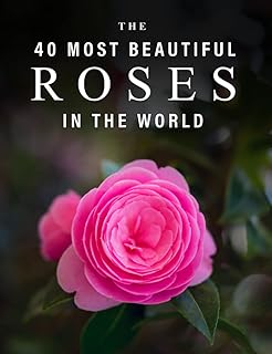 Les 40 plus belles roses du monde : un livre d'images en couleur