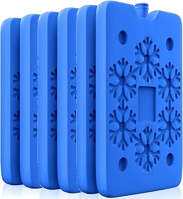 Bacs de glace pour boîte à déjeuner de valeur, protection de l'environnement, sains
